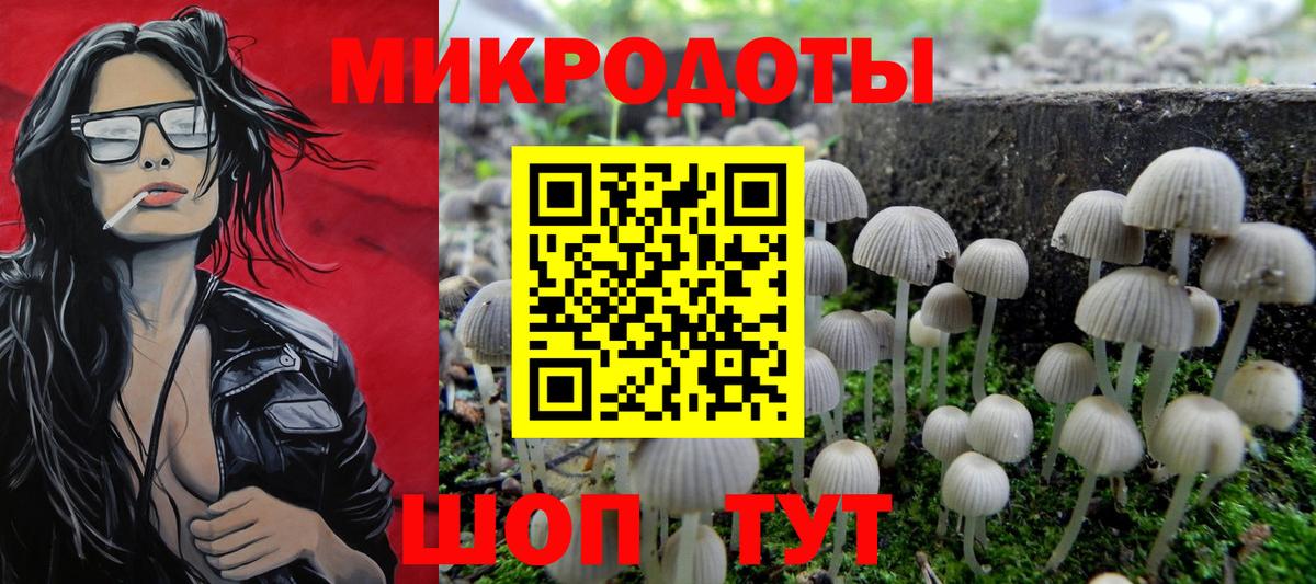 Псилоцибиновые грибы Psilocybe  Псилоцибиновые грибы ЛСД  Вход с VPN  что такое   Нижний Новгород 